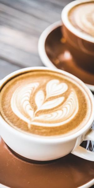 Rotalink | Coffee Machine DC Gear Motor 1