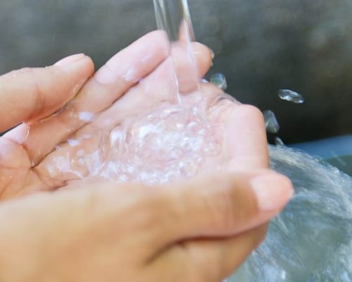 Rotalink | Milking Parlours 25