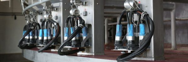 Rotalink | Milking Parlours 8