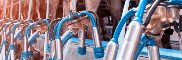 Rotalink | Milking Parlours 10