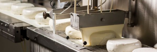 Rotalink | Confectionary (without Vending) 4